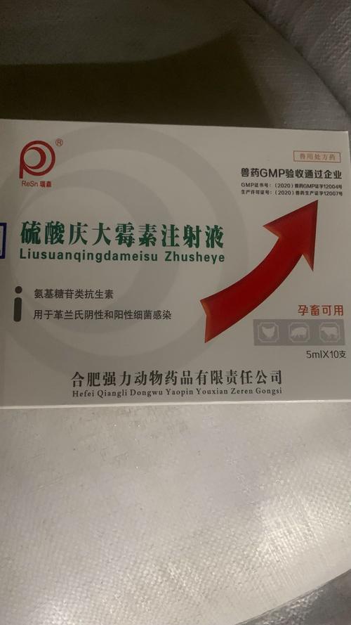 庆大霉素注射液在宠物中的应用与安全使用指南